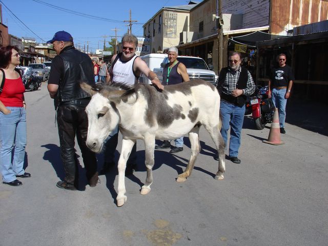 oatman