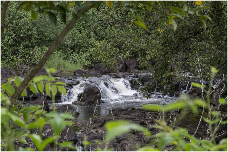 Akaka Falls