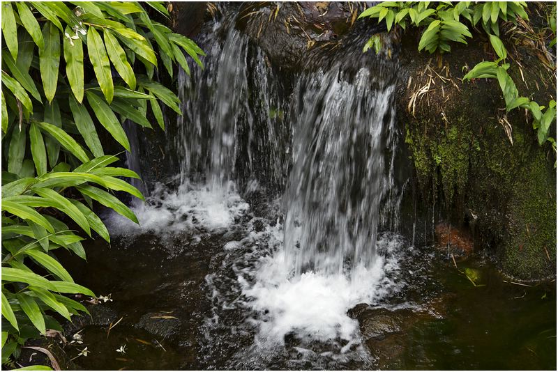 Akaka Falls
