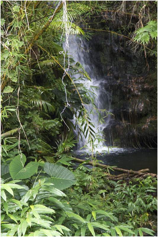 Akaka Falls