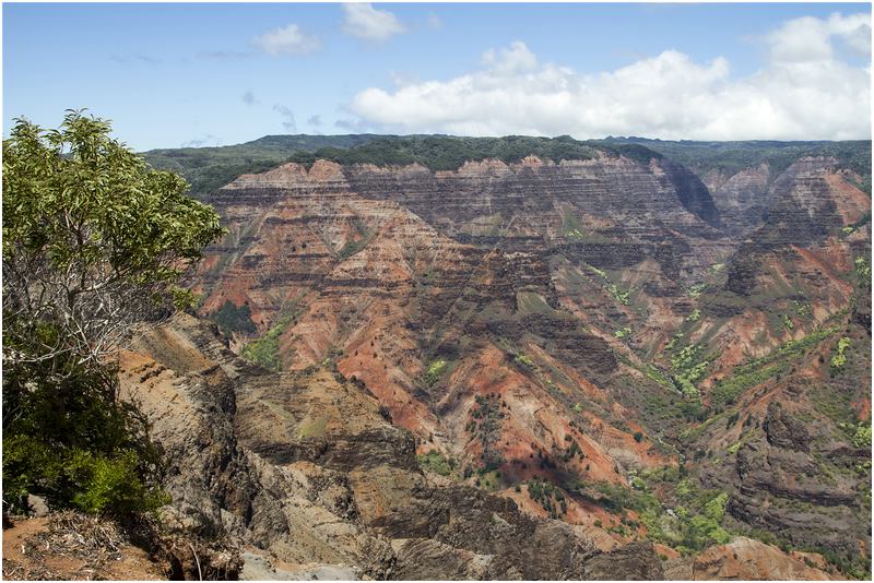 Waimea Canyon