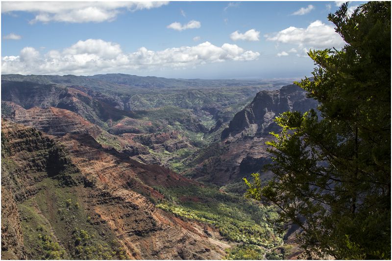 Waimea Canyon