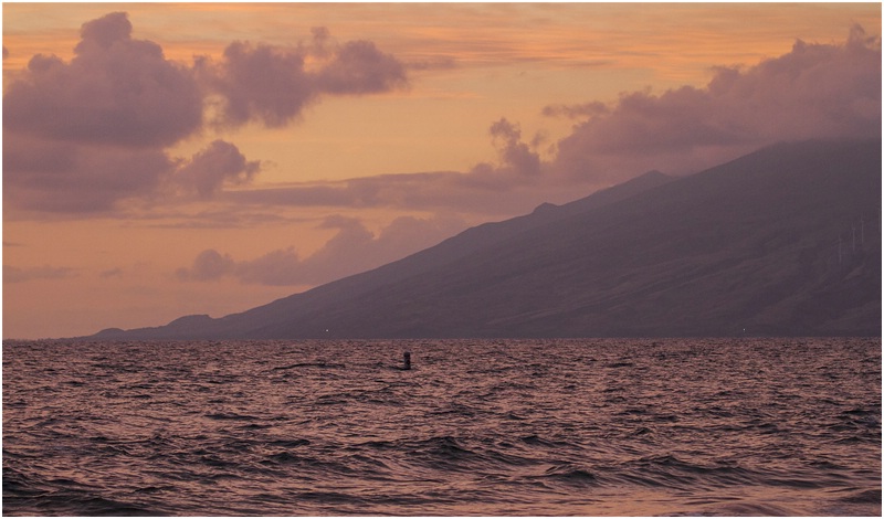 Castle Kamaole Sands