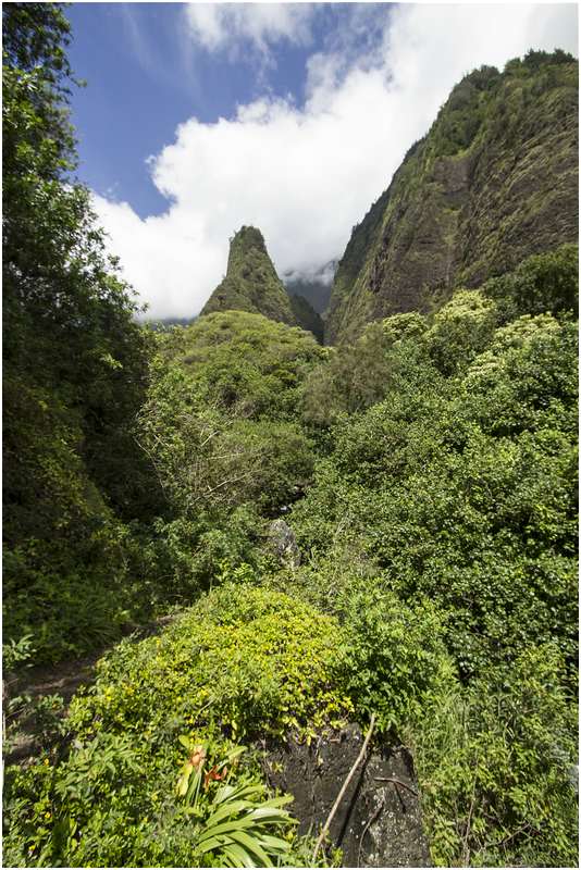 Iao Valley